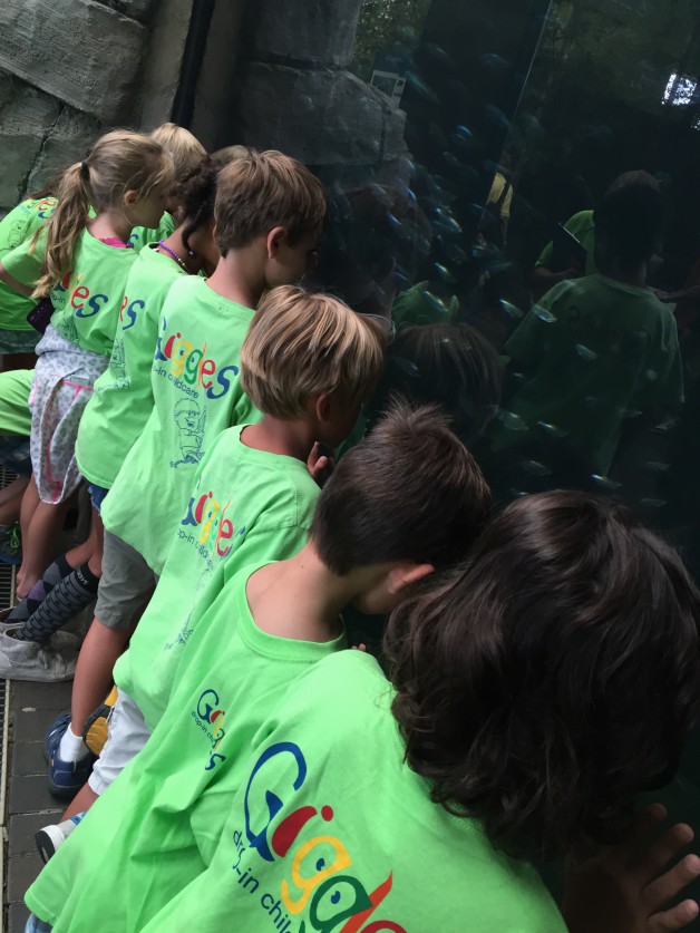 Kids looking in a fish tank